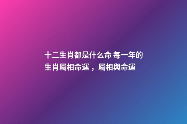 十二生肖都是什么命 每一年的生肖屬相命運，屬相與命運